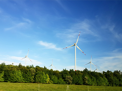 Էջի անվանումը