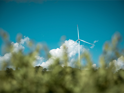 Էջի անվանումը