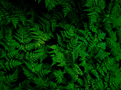 Roadmap for scaling up green finance