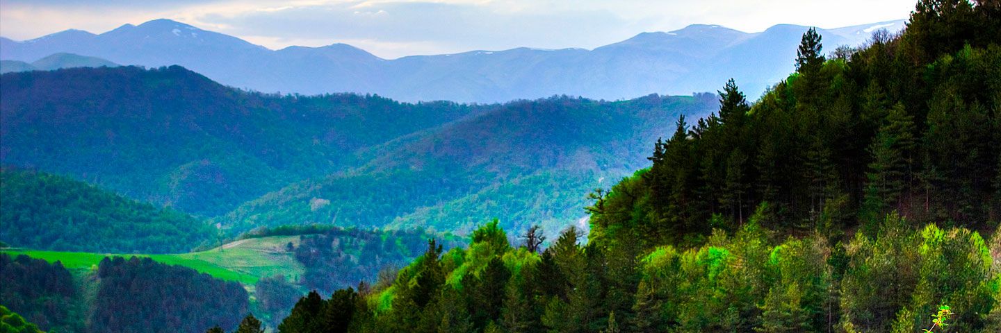 Բացատրական