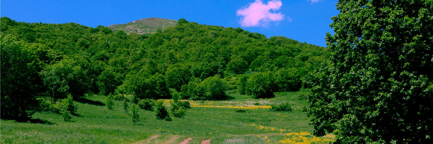 Mongolia Green Finance Corporation