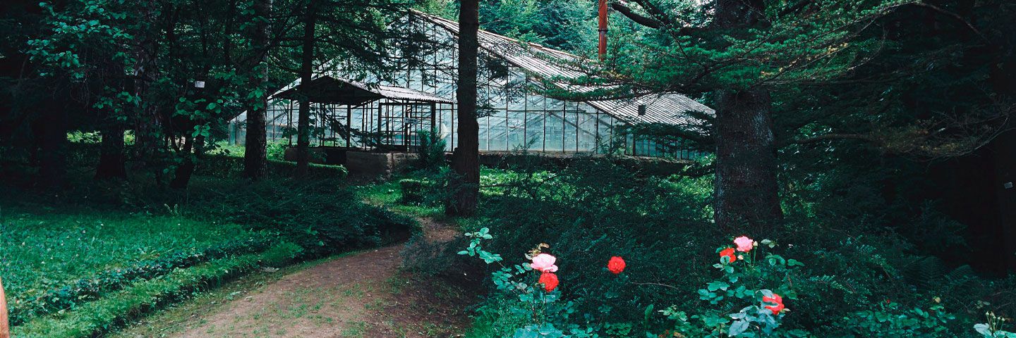 Գաղտնիության քաղաքականություն