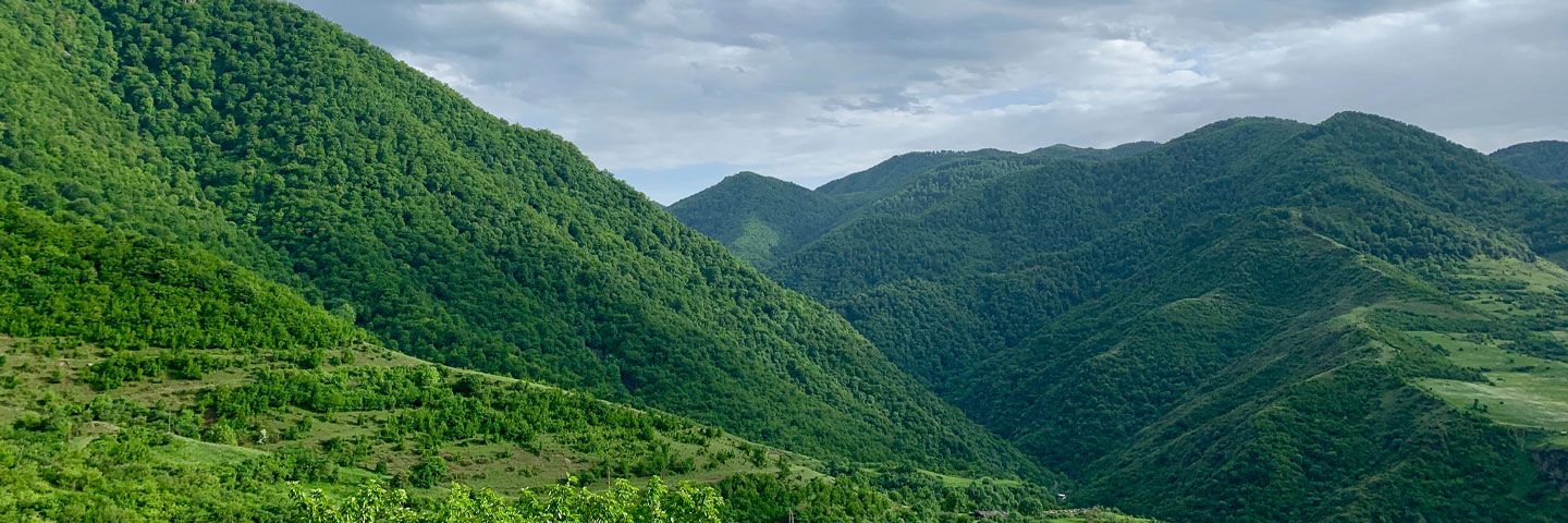 Green Economy Mark/Label