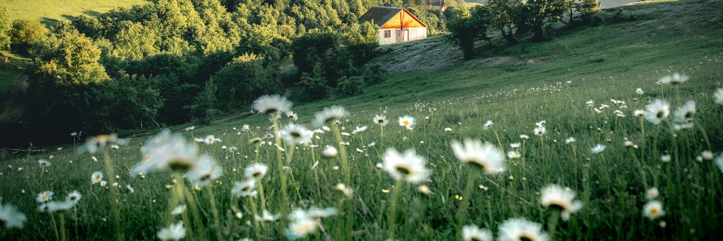 Principles for Responsible Banking