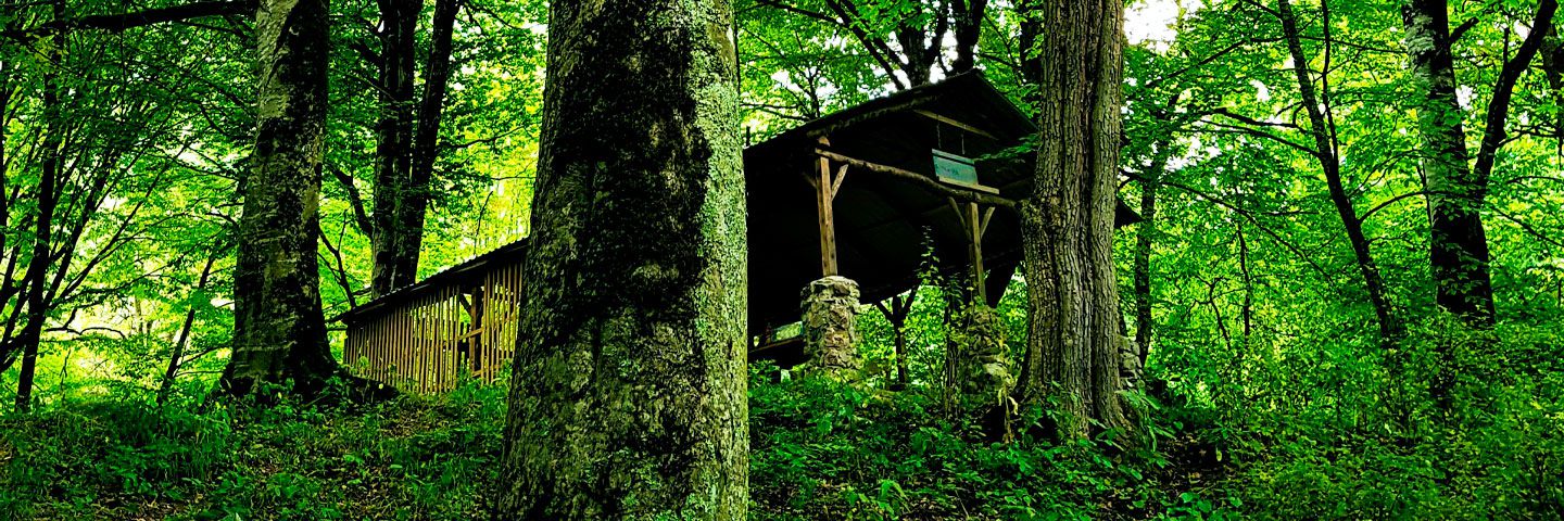 Upcoming Courses/Seminars