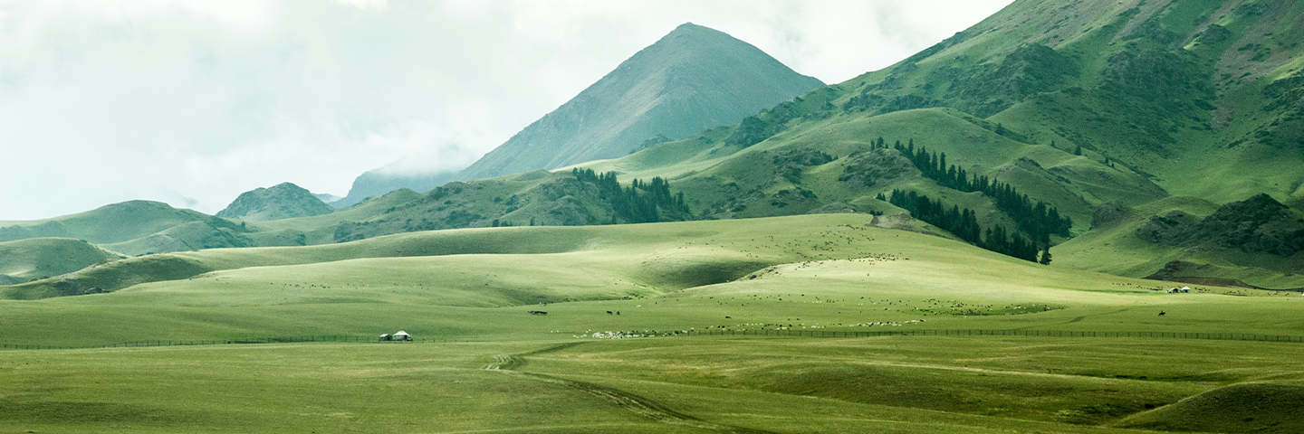 Capacities of beneficiaries are strengthened