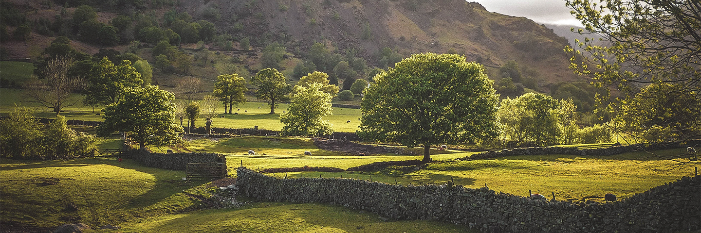 Private sector mobilized into the climate finance activities