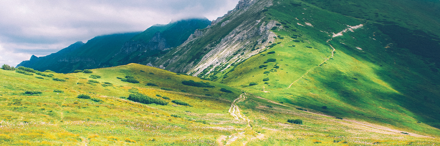 Regulatory framework scrupulously reviewed