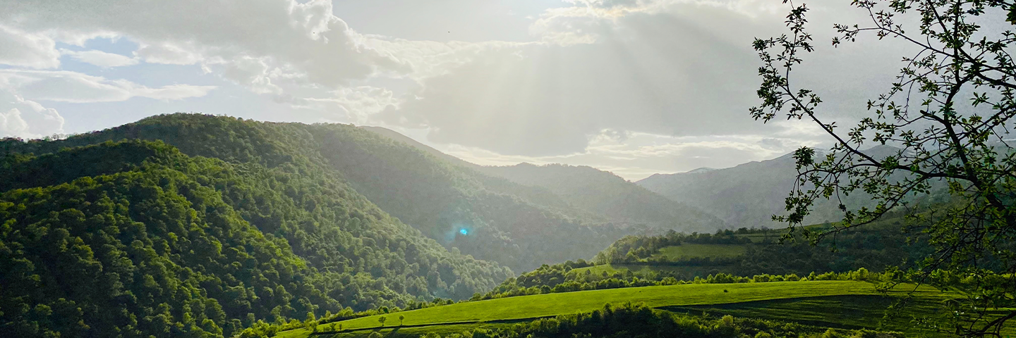 Methodological base for mitigation domain projects is designed and maid available