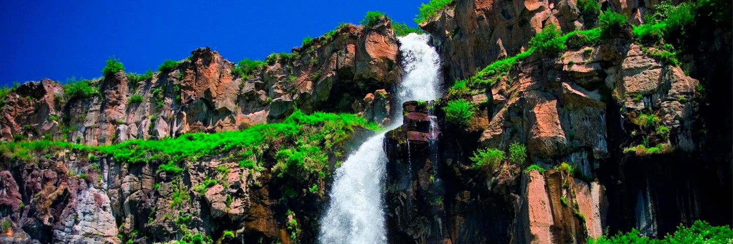 Հաշվետվություններ