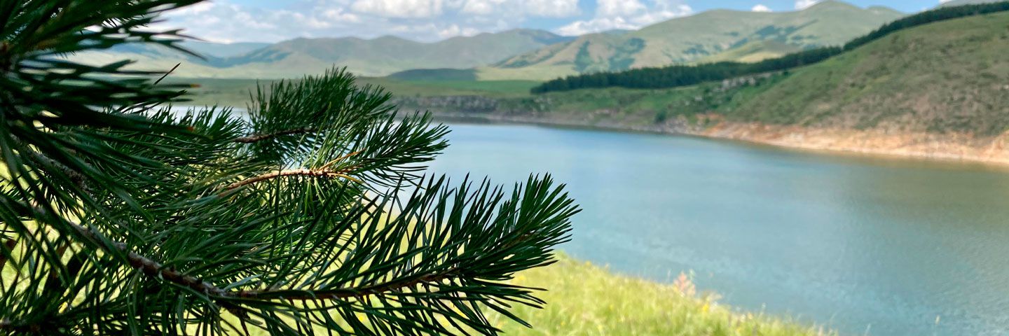 Պրեզենտացիաներ