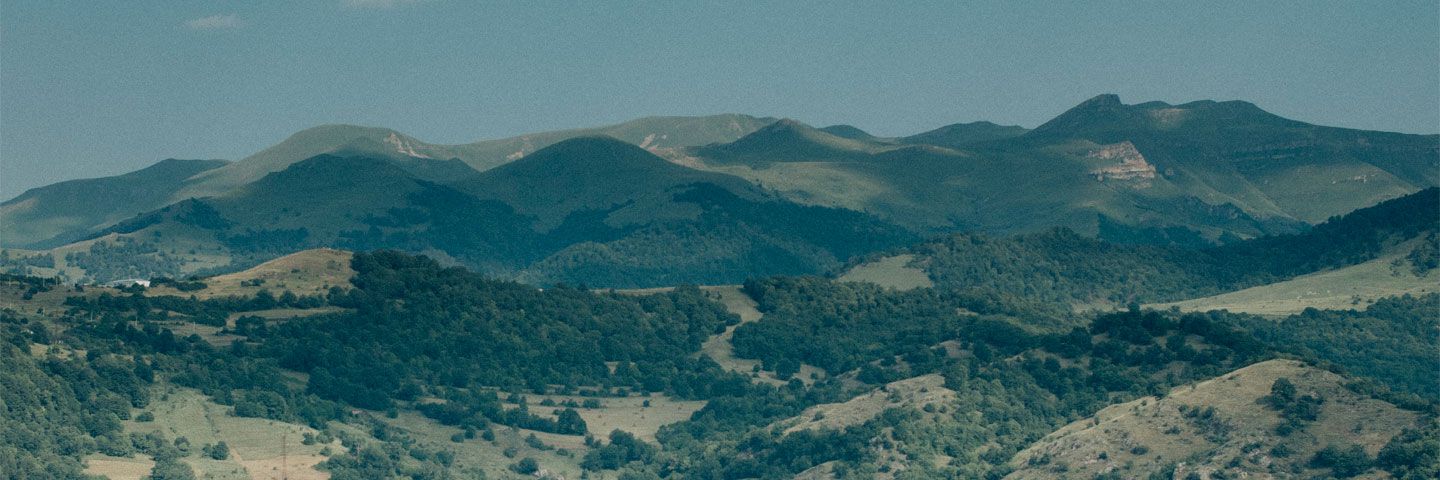 Մասնակիցներ