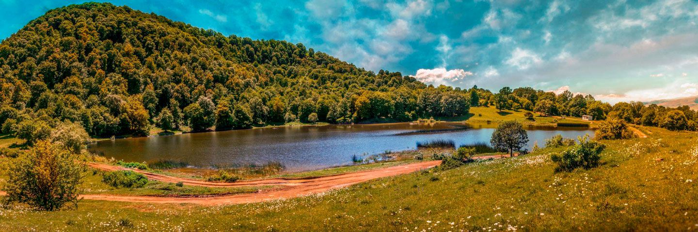 TCFD - Climate Disclosure Standards