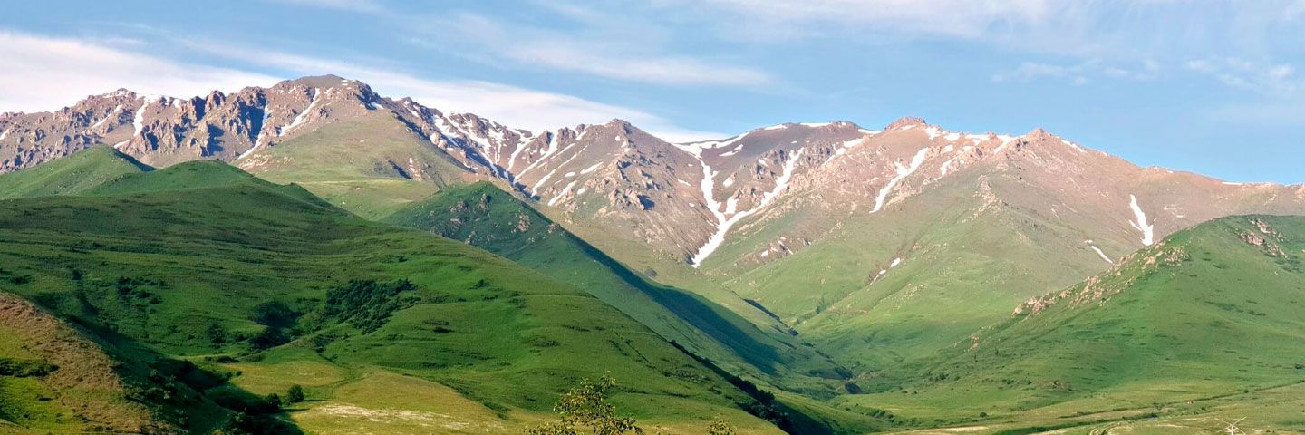 International Knowledge Exchange and Green Finance Networks