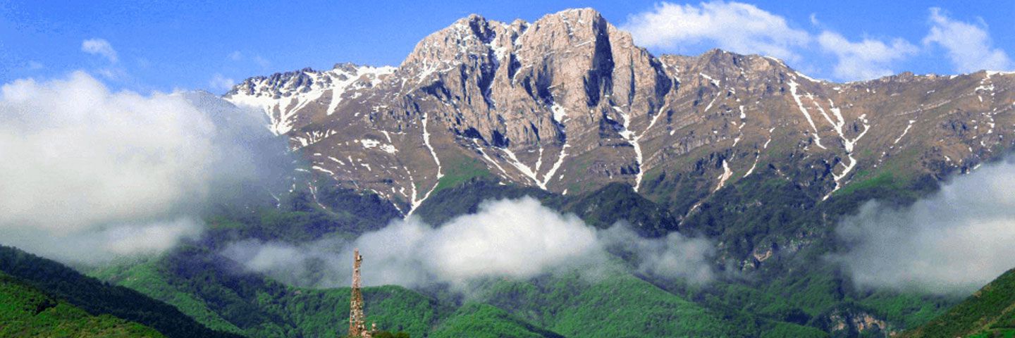 Specific circumstances