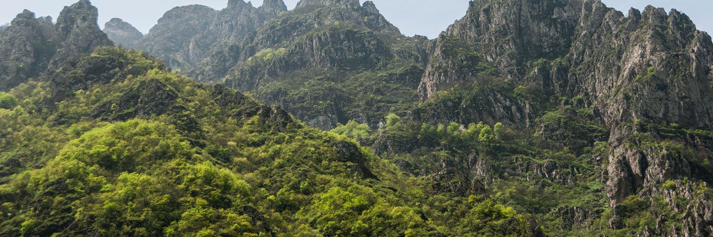 Market best Practicies