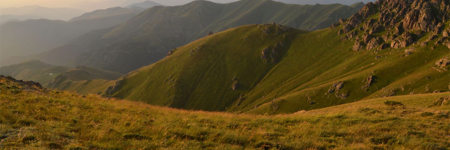 Market best Practices