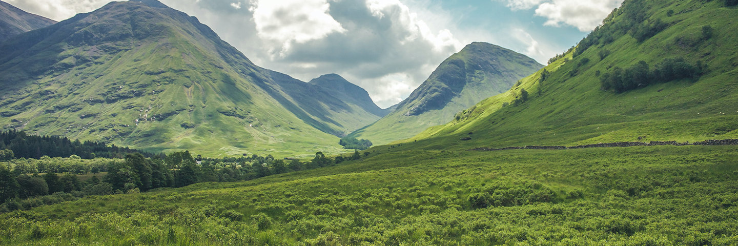 Development of model green, bonds framework