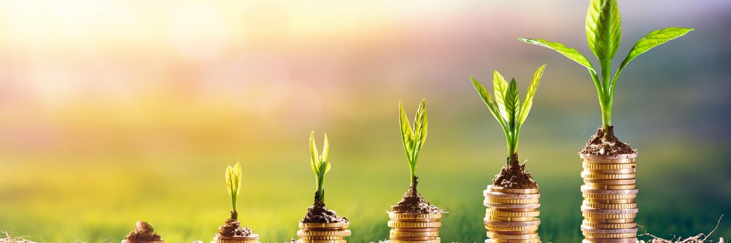 Կոնտակտներ