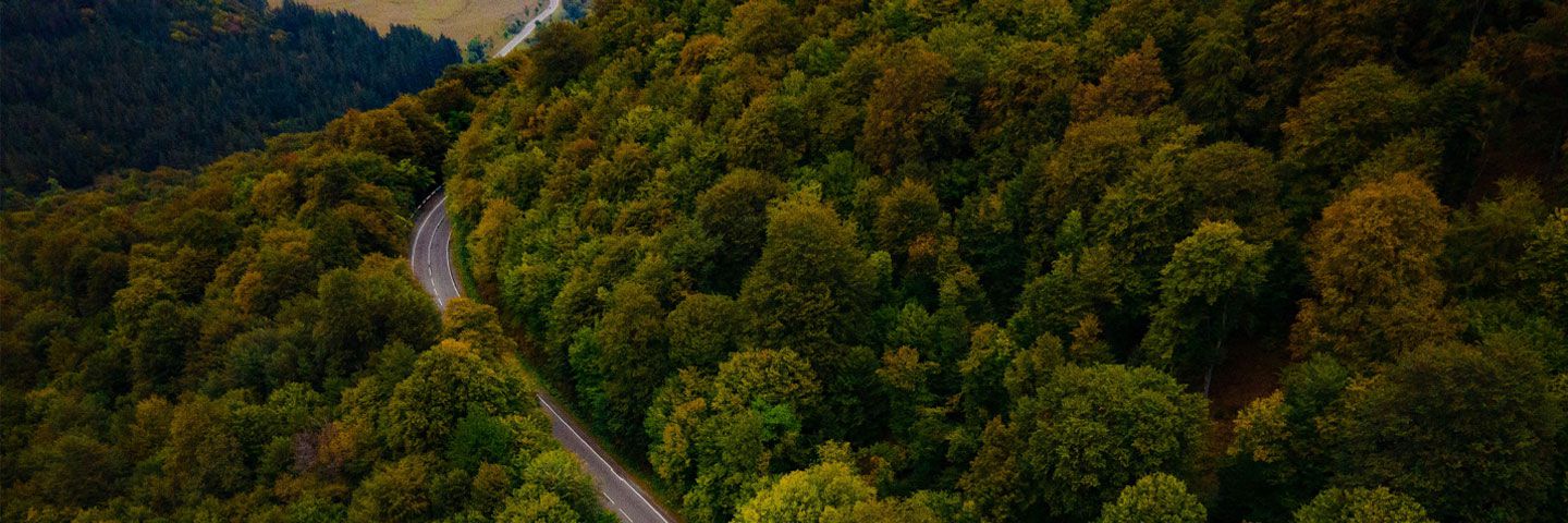 IFC Sustainable Banking Network