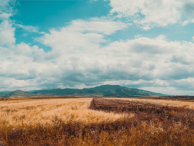 CBI – Climate Bonds Initiative