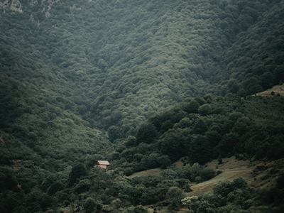 International Knowledge Exchange and Green Finance Networks